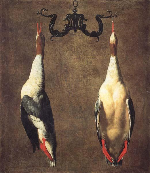 Dandini, Cesare Two Hanging Mallards Norge oil painting art